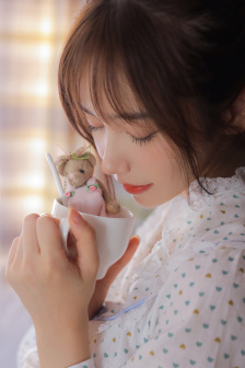甄嬛传 美版
